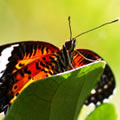 image02