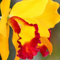 image03